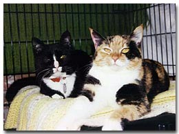 Belle and Kit