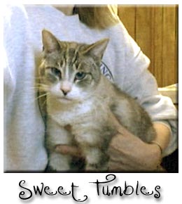 My Sweet Tumbles