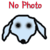 Dog - male