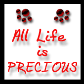 ALL Life is Precious