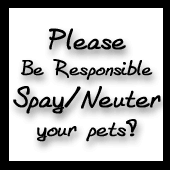 Please Spay and Neuter