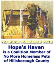 Hope's Haven is a Coalition Member of 'No More Homeless Pets - Hillsborough County'