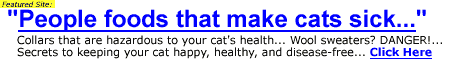 'all the cat info you could possibly want - great links to other pet sites