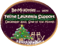 Feline Leukemia Support - December 2001 Site of the Month'