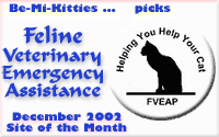 Feline Veterinary Emergency Assistance - December 2002 'Site of the Month'
