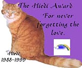 'Hiedi Award'