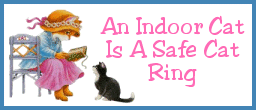 An Indoor Cat, Is A Safe Cat Ring