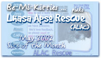 Lhasa Apso Rescue (ALAC) - May 2002 Site of the Month'