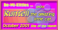 Runtell 'the amazing little cat' - October 2001 Site of the Month'