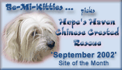 Hope's Haven - Chinese Crested Rescue - September 2002 'Site of the Month'