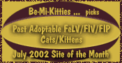 Post Adoptable FeLV/FIV/FIP Cats/Kittens - July 2002 'Site of the Month'