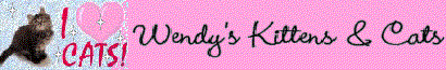 Wendy's Cats and Kittens