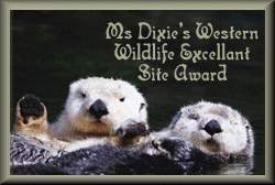 Dixieland Wildlife Award