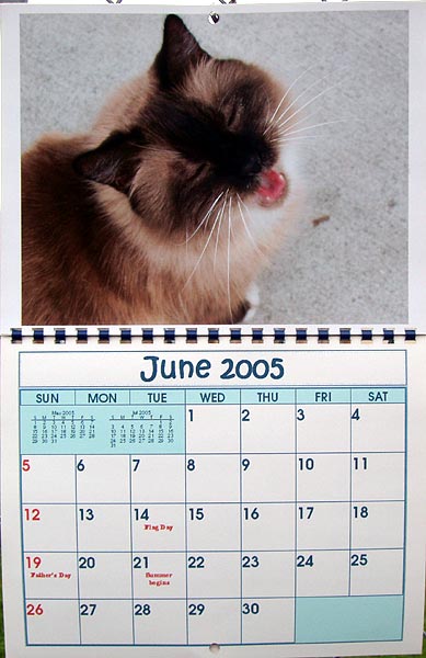 BMK Designs Calendar (My furkid Joey)