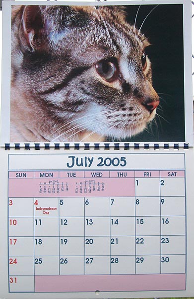 BMK Designs Calendar (My furkid KC)