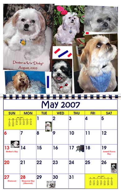 BMK Designs Calendar Lhasa Rescue Dogs