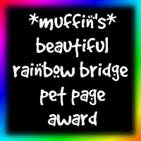 Muffins Beautiful Rainbow Bridge Pet Page award