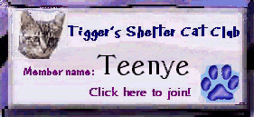 Teenye's membership