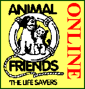 Animal Friends Online