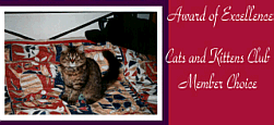 Cat & Kittens Award Of Excellence
