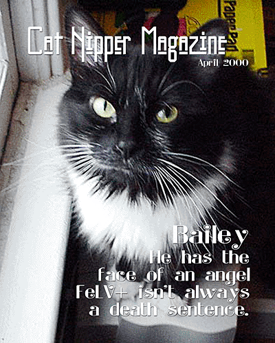 Bailey Cover