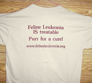 Back Of Sandstone Shirt