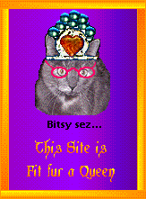 Bitsy Acatemy Awards