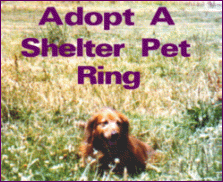 Click here to join the Adopt A Shelter Pet Ring