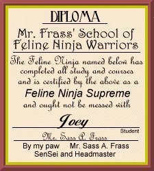 Joey's Ninja Diploma
