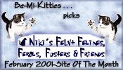 Niki's FeLV+ Felines, Ferals, Fosters and Friends - February 2001 Site of the Month'