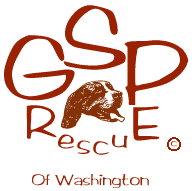 GSP Rescue Of Washington