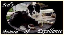 Jed's Award Of Excellence