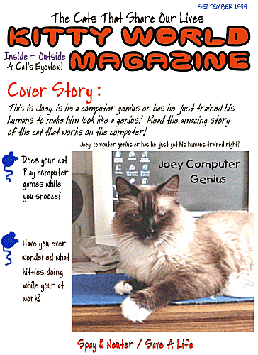 Joey Cover
