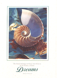 Shell Card &copy; Joyce Roach