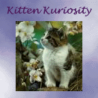 Join the Kitten Kuriosity Webring!