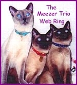 Meezer Trio Webring