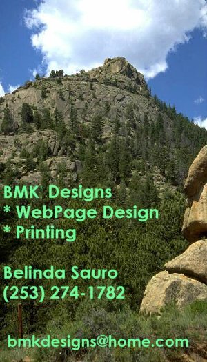 BMK Designs Business Card - Any Photo