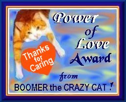 Boomer's Power Of Love Award