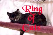Ring Of Cats