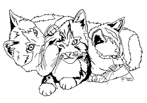 Drawing On Shirt