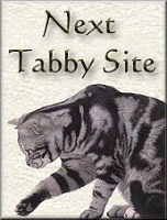 Next Tabby Site