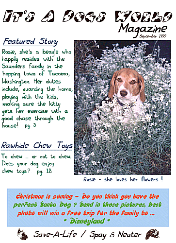Rosie Cover