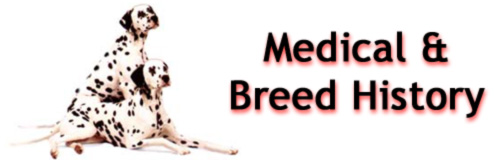 Medical and Breed History