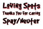 Spay/Neuter