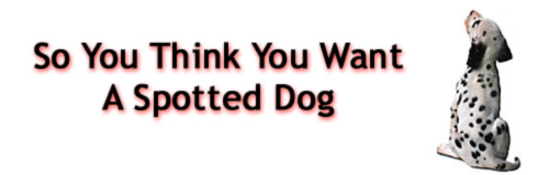 So You Think You Want A Spotted Dog