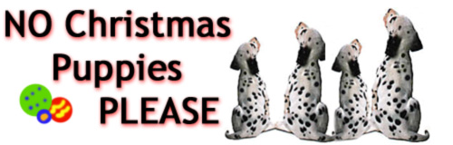 NO - X Mas Puppies