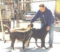 John - One of the wonderful people that helps with these dogs!