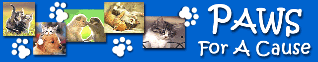 PAWS For A Cause - Annual Dog Show and Pet Adoption Fair