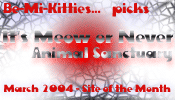 It's Meow or Never Animal Sanctuary - March and April 2004 'Site of the Month'