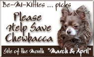 ' Please Help Save Chewbacca - March and April 2005, Site of the Month'